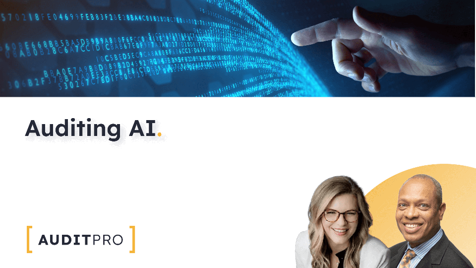 Auditing Artificial Intelligence Overview